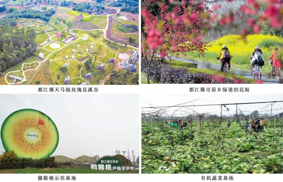 首页| w66集团中国最老牌官方网站
