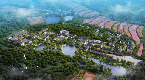首页| w66集团中国最老牌官方网站