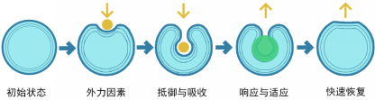 首页| w66集团中国最老牌官方网站