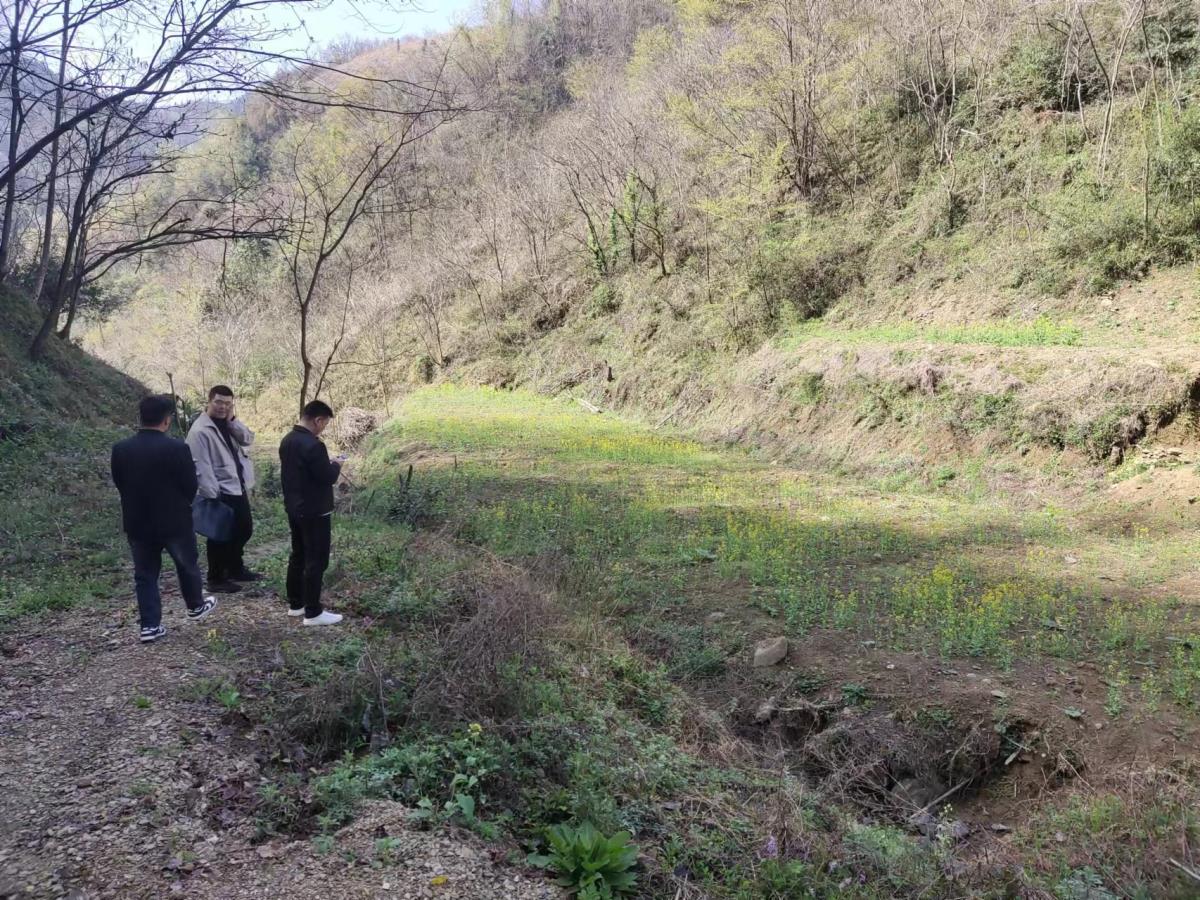 首页| w66集团中国最老牌官方网站