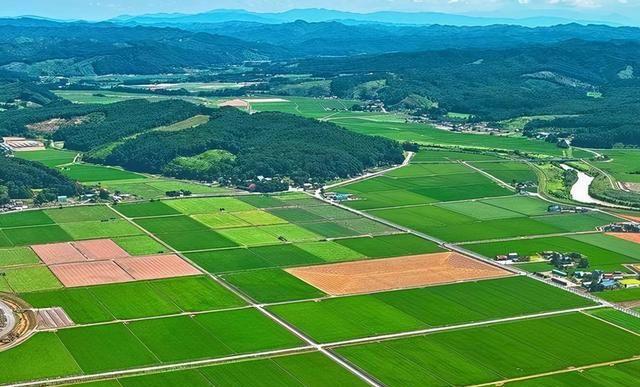 首页| w66集团中国最老牌官方网站