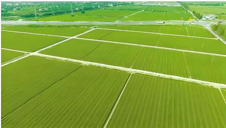 首页| w66集团中国最老牌官方网站